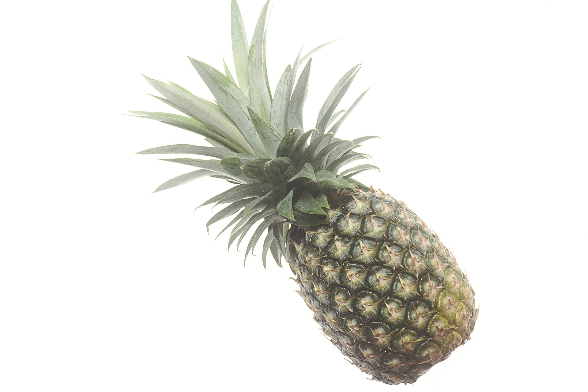 Whole ripe pineapple with a green crown