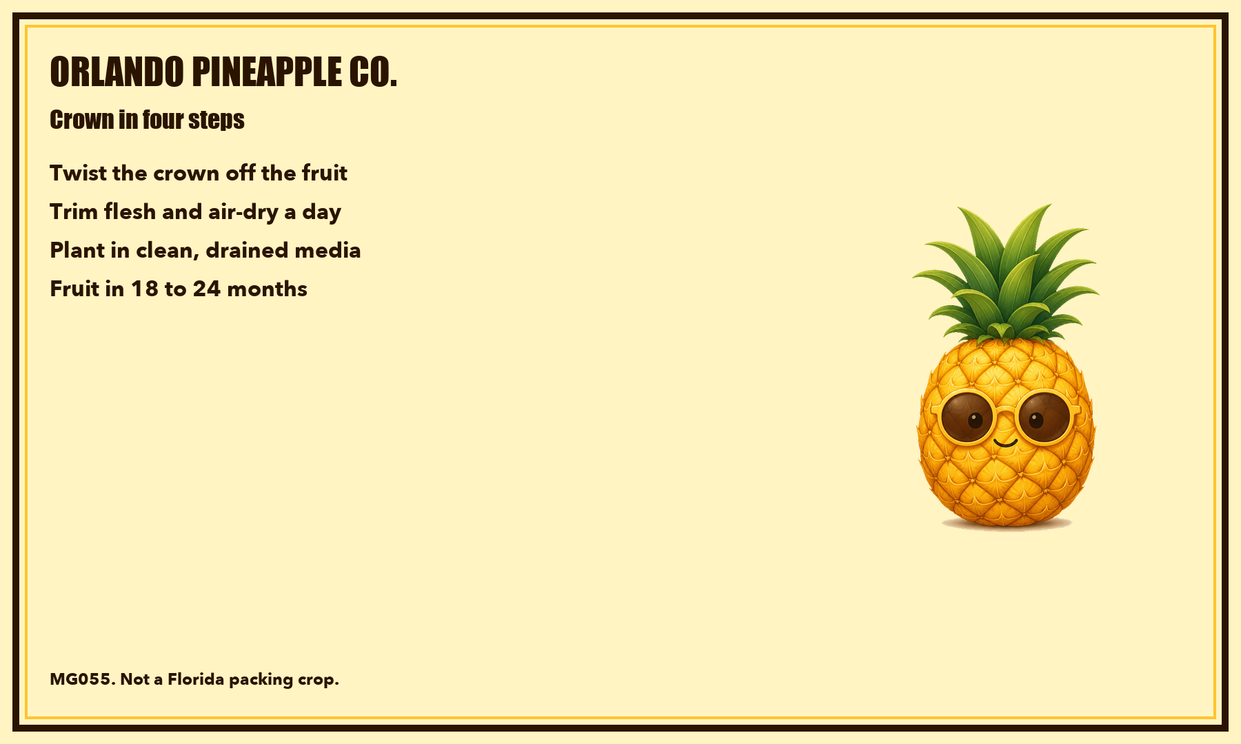 A pineapple postcard
